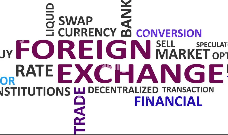 Unearthing the Intricacies of Exchange & Financial Sciences