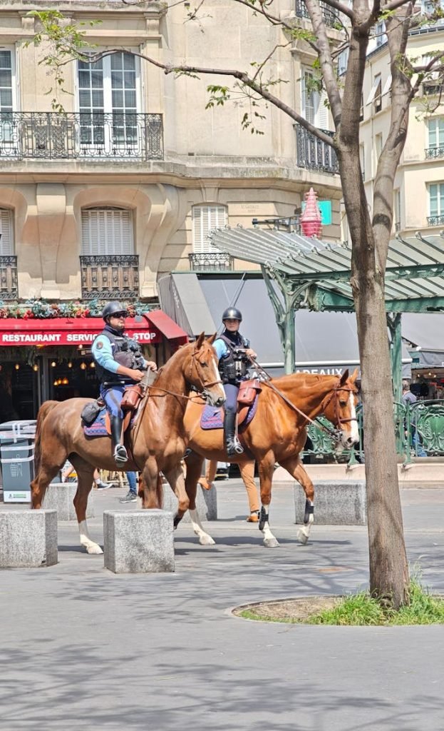 mounted-police-on-horses-in-urban-street-setting-32378330 Two police officers riding horses through a city street on a sunny day.