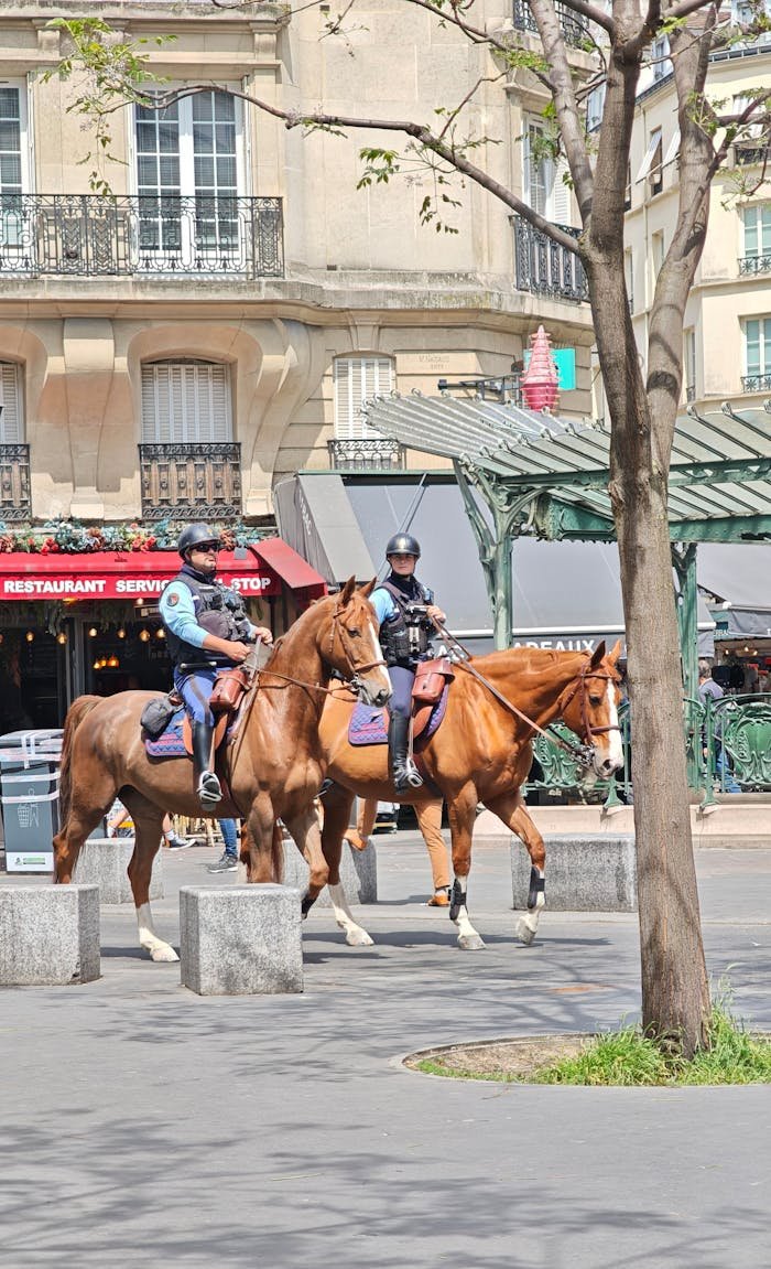 creative Two police officers riding horses through a city street on a sunny day.